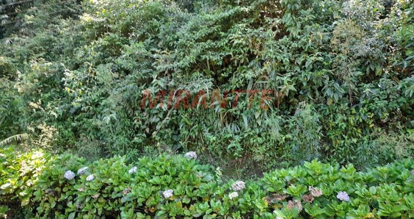 Terreno à venda na Alameda Guaranhuns, Serra da Cantareira, São Paulo