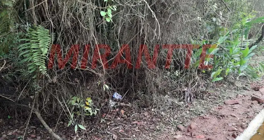 Terreno em condomínio fechado à venda na Alameda Mandarins, Serra da Cantareira, São Paulo