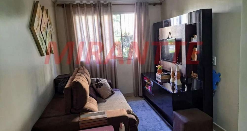Apartamento com 2 quartos à venda na Rua Pedro Brasil Bandecchi, Vila Amélia, São Paulo