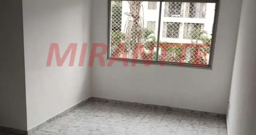 Apartamento de 60m² com 2 quartos em Lauzane Paulista