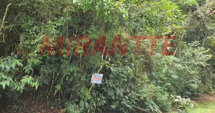 Terreno em condomínio fechado à venda na Rua Dos Bicudos, Serra da Cantareira, Mairiporã