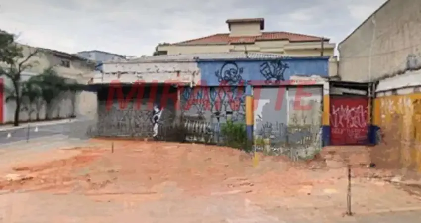 Terreno à venda na Avenida Júlio Buono, Vila Gustavo, São Paulo