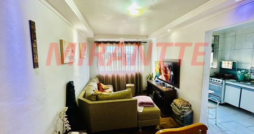 Apartamento de 52m² com 2 quartos em Vila Vitório Mazzei
