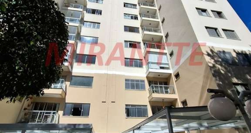 Apartamento de 74m² com 2 quartos em Vila Amelia