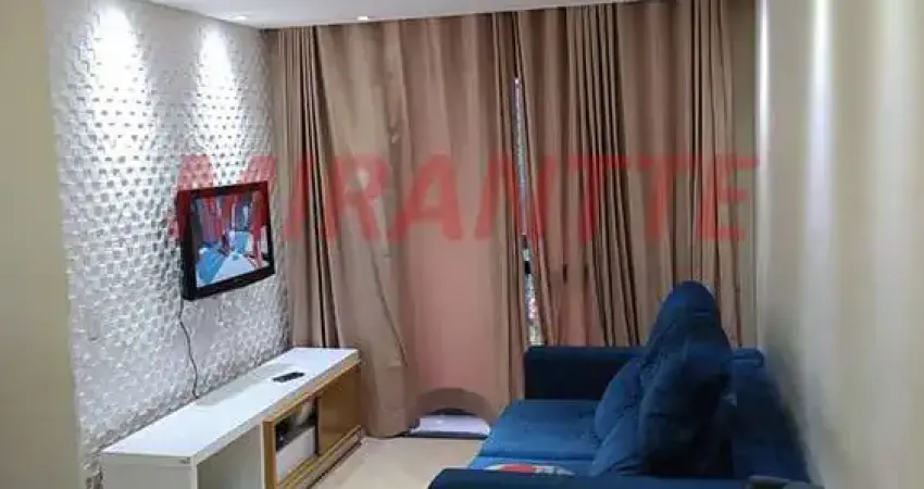 Apartamento com 3 quartos à venda na Rua Antônio Ribeiro de Morais, Limão, São Paulo
