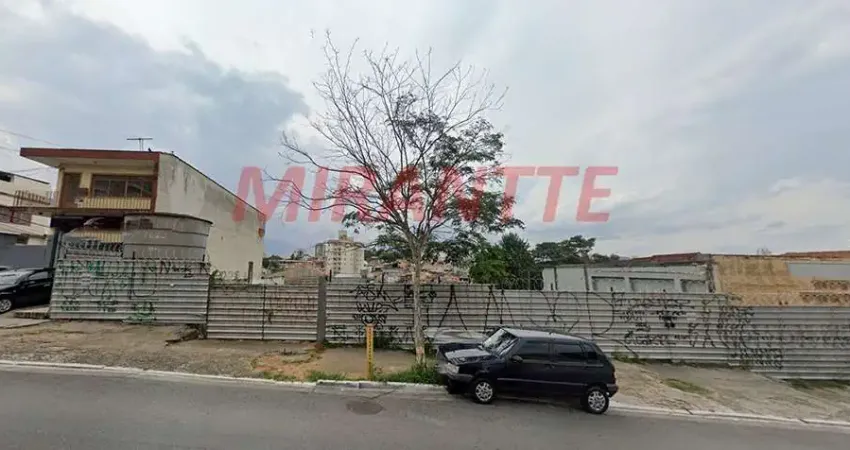 Terreno à venda na Avenida Júlio Buono, Vila Gustavo, São Paulo