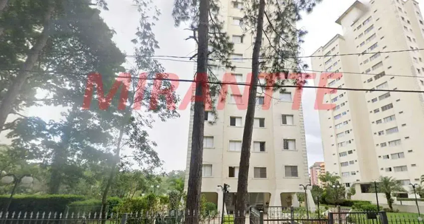 Apartamento de 63m² com 2 quartos em Jardim Paraiso