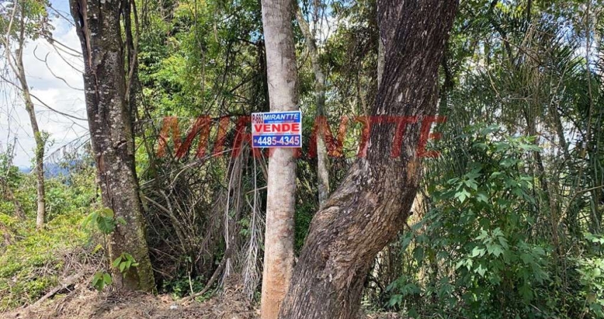 Terreno à venda na AV Dr Arthur de Andrade Filho, Serra da Cantareira, São Paulo