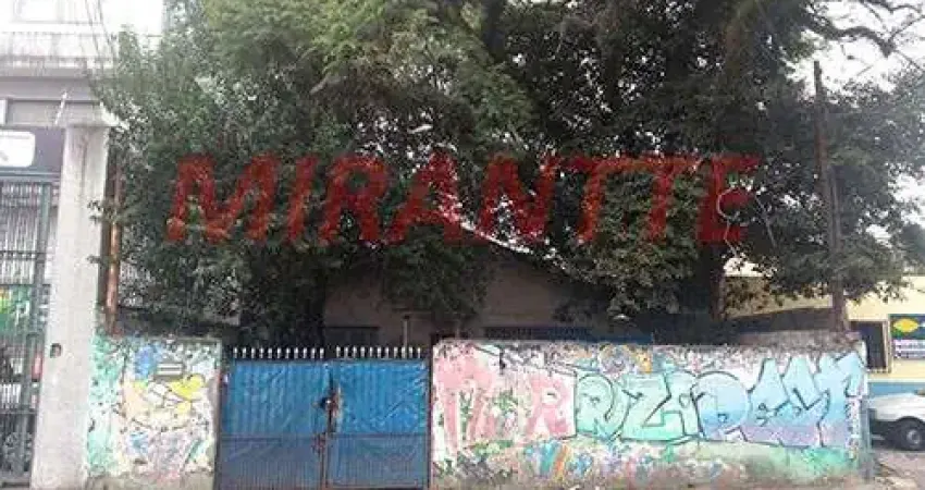 Terreno à venda na Rua das Imbiras, Vila Mazzei, São Paulo