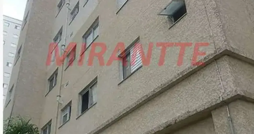 Apartamento com 2 quartos à venda na Rua Itza, Jaçanã, São Paulo