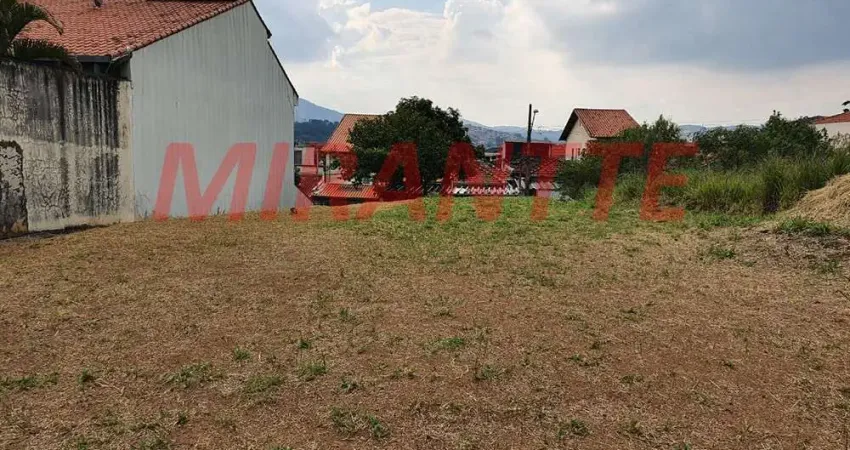 Terreno à venda na Avenida Campista, Vila Rosália, Guarulhos
