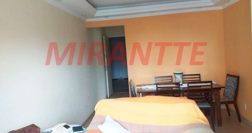 Apartamento de 67m² com 2 quartos em Tucuruvi