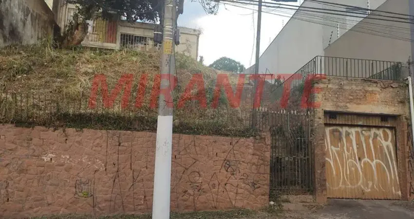 Terreno em Jardim Bibi