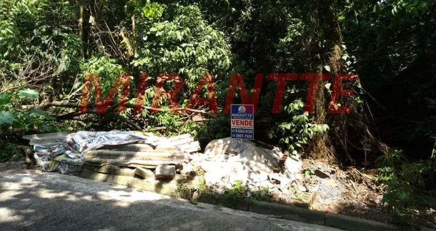 Terreno à venda na Rua Coronel Agostinho da Fonseca, Jardim Ibiratiba, São Paulo