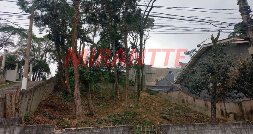 Terreno à venda na Rua Miguel Maia, Horto Florestal, São Paulo