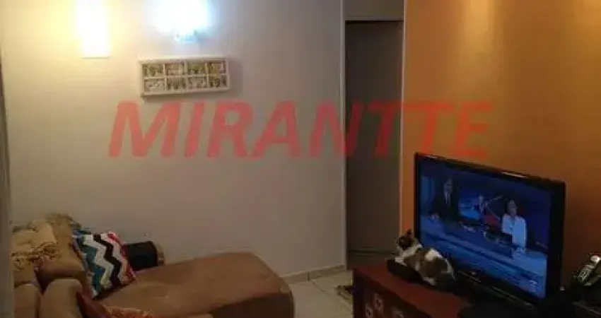 Apartamento com 2 quartos à venda na Rua Franklin do Amaral, Vila Nova Cachoeirinha, São Paulo