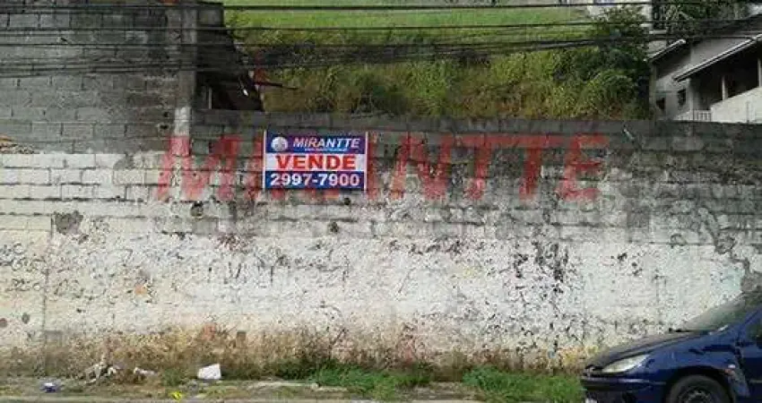 Terreno à venda na Rua Comendador Armando Pereira, Vila Albertina, São Paulo