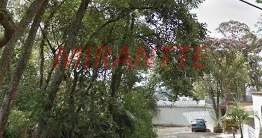 Terreno à venda na Rua Capitão Luís Rodrigues de Albuquerque, Vila Irmãos Arnoni, São Paulo