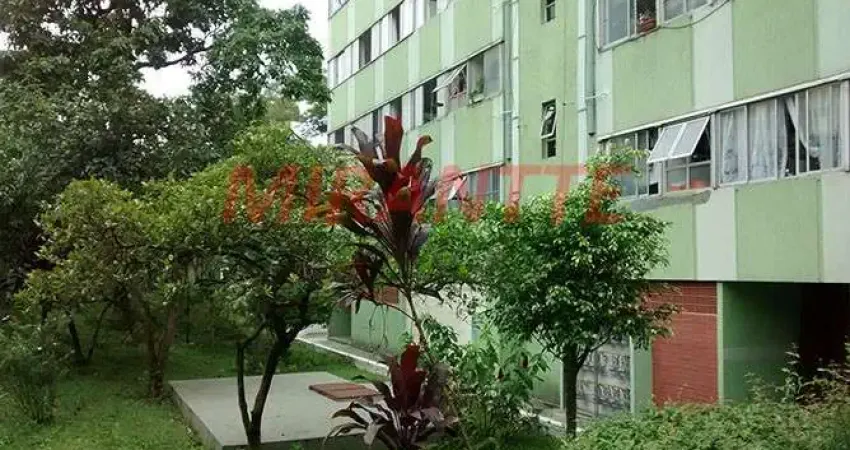 Apartamento com 2 quartos à venda na Rua Herbert Hoover, Parque Palmas do Tremembé, São Paulo