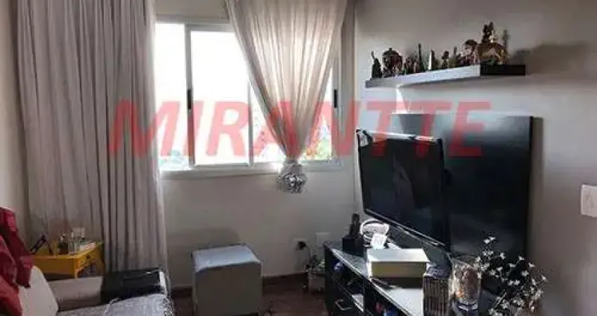 Apartamento com 3 quartos à venda na Rua Dom Bernardo Nogueira, Vila Gumercindo, São Paulo