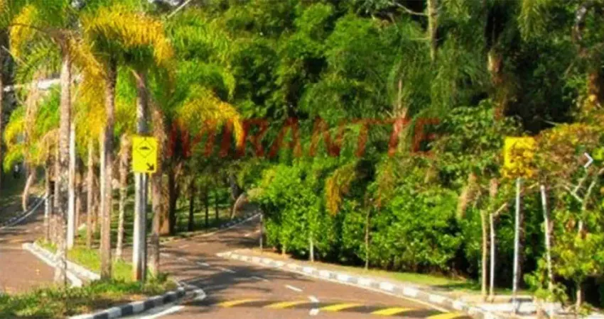 Terreno em condomínio fechado à venda na Avenida Nova Cantareira, Tucuruvi, São Paulo