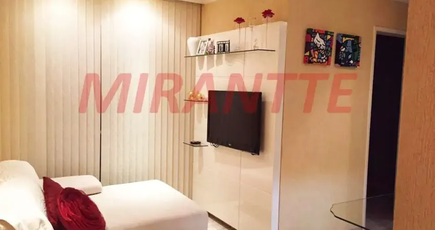 Apartamento com 2 quartos à venda na Rua José Ferreira de Castro, Vila Amélia, São Paulo