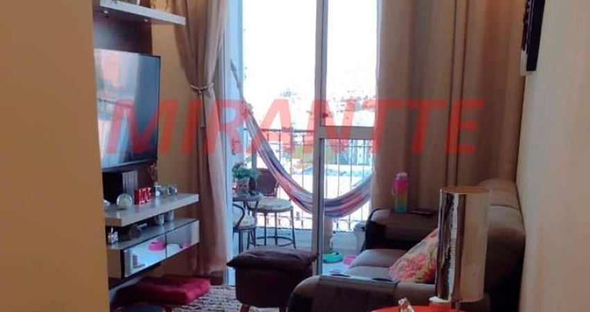 Apartamento de 55m² com 3 quartos em Vila Amelia