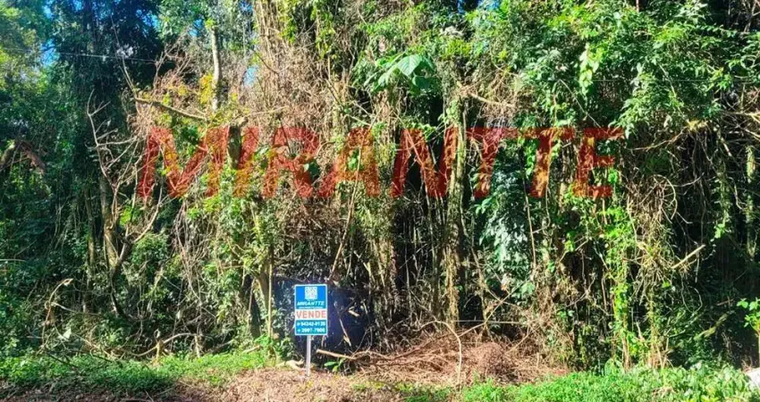 Terreno à venda na Rua Pinheiro, Parque Suiça, Caieiras