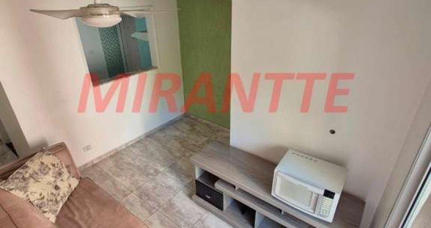 Apartamento com 2 quartos à venda na Rua José Ferreira de Castro, Vila Amélia, São Paulo