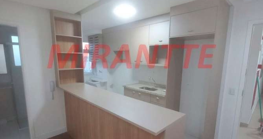 Apartamento de 39m² com 1 quartos em Parada Inglesa