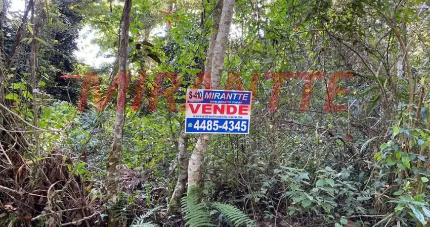 Terreno em condomínio fechado à venda na Alameda Girassois, Serra da Cantareira, São Paulo