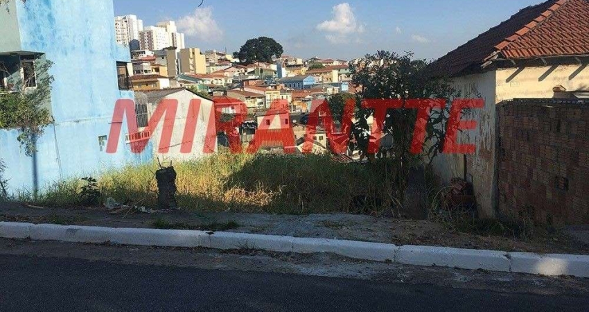Terreno de 326m² em Limão