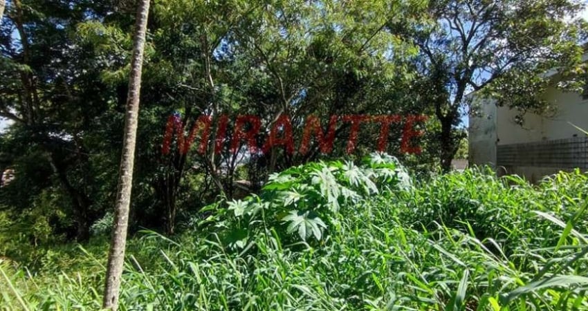 Terreno em Tucuruvi