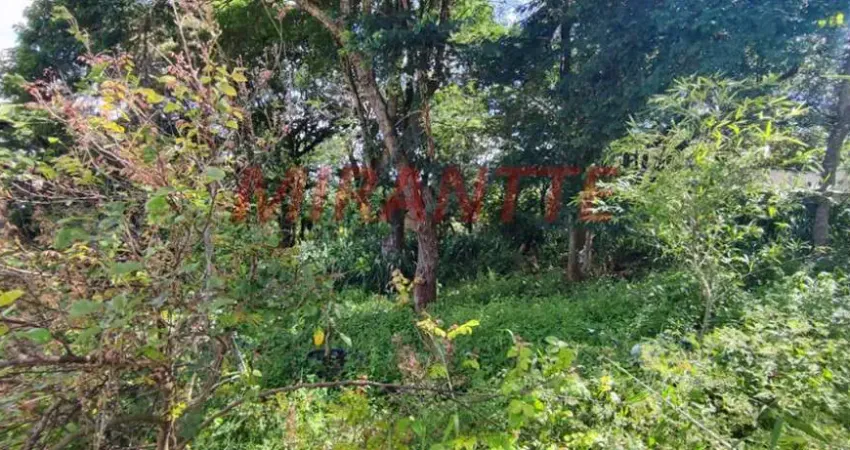 Terreno à venda na Rua Coronel Agostinho da Fonseca, Horto Florestal, São Paulo