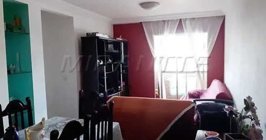 Apartamento com 3 quartos à venda na Rua Vinte e Dois de Agosto, Cachoeirinha, São Paulo
