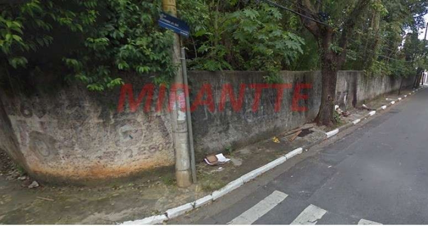 Terreno de 2500m² em Vila Progresso