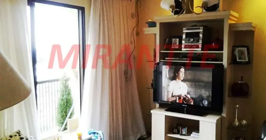 Apartamento de 64m² com 3 quartos em Horto Florestal