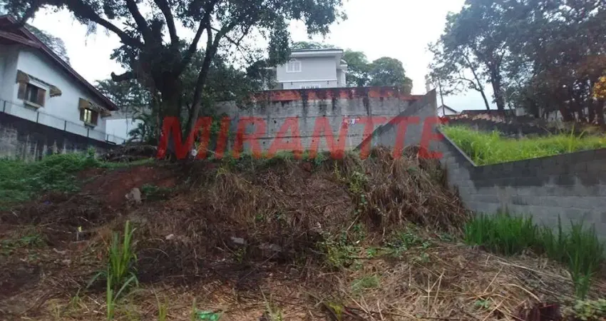 Terreno à venda na Rua Theodomiro Moraes Cunha, Horto Florestal, São Paulo