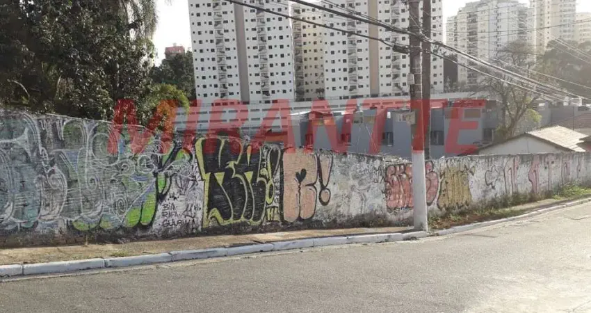 Terreno à venda na Rua Coronel Joaquim Ferreira de Souza, Mandaqui, São Paulo
