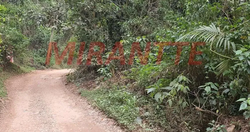 Terreno à venda na Alameda dos Ipês, Serra da Cantareira, São Paulo