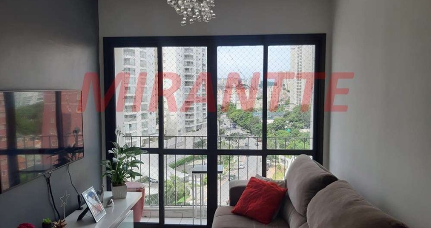 Apartamento de 50m² com 2 quartos em Imirim