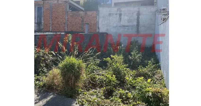 Terreno à venda na Rua Santa Veridiana, Vila Maria Alta, São Paulo
