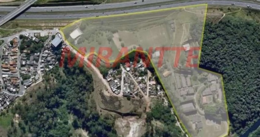 Terreno de 6950m² em Pimentas