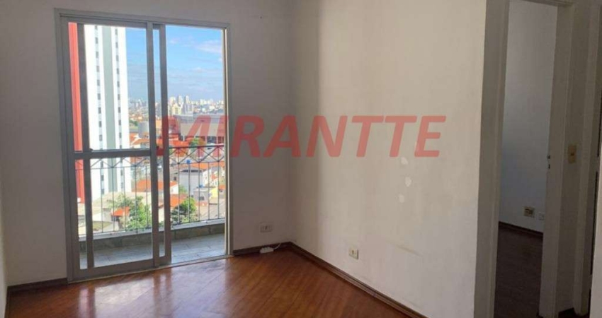 Apartamento de 58m² com 2 quartos em Lauzane Paulista