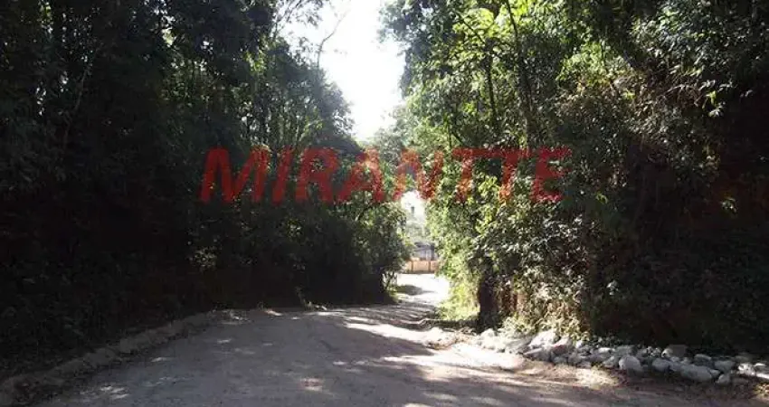Terreno à venda na Fernão Dias, Serra da Cantareira, São Paulo