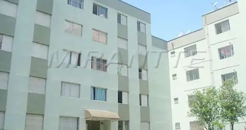 Apartamento com 3 quartos à venda na Rua Pedro Brasil Bandecchi, Vila Amália, São Paulo