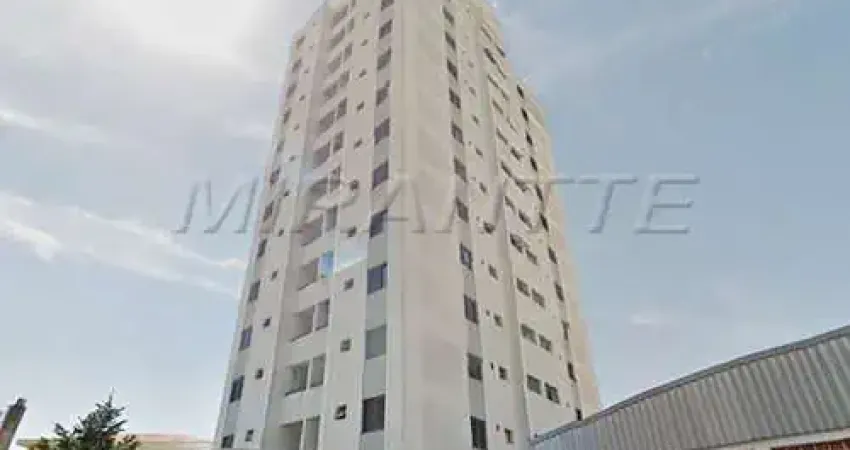 Apartamento de 50m² com 2 quartos em Lauzane Paulista