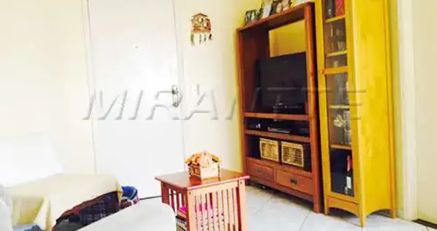 Apartamento de 50m² com 2 quartos em Lauzane Paulista