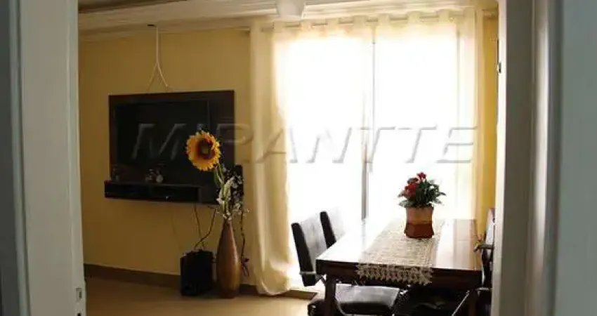 Apartamento de 50m² com 2 quartos em Parque Edu Chaves