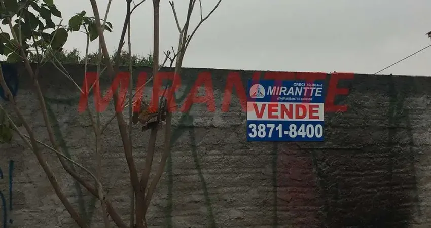 Terreno à venda na Rua Andréa Del Castagno, Limão, São Paulo